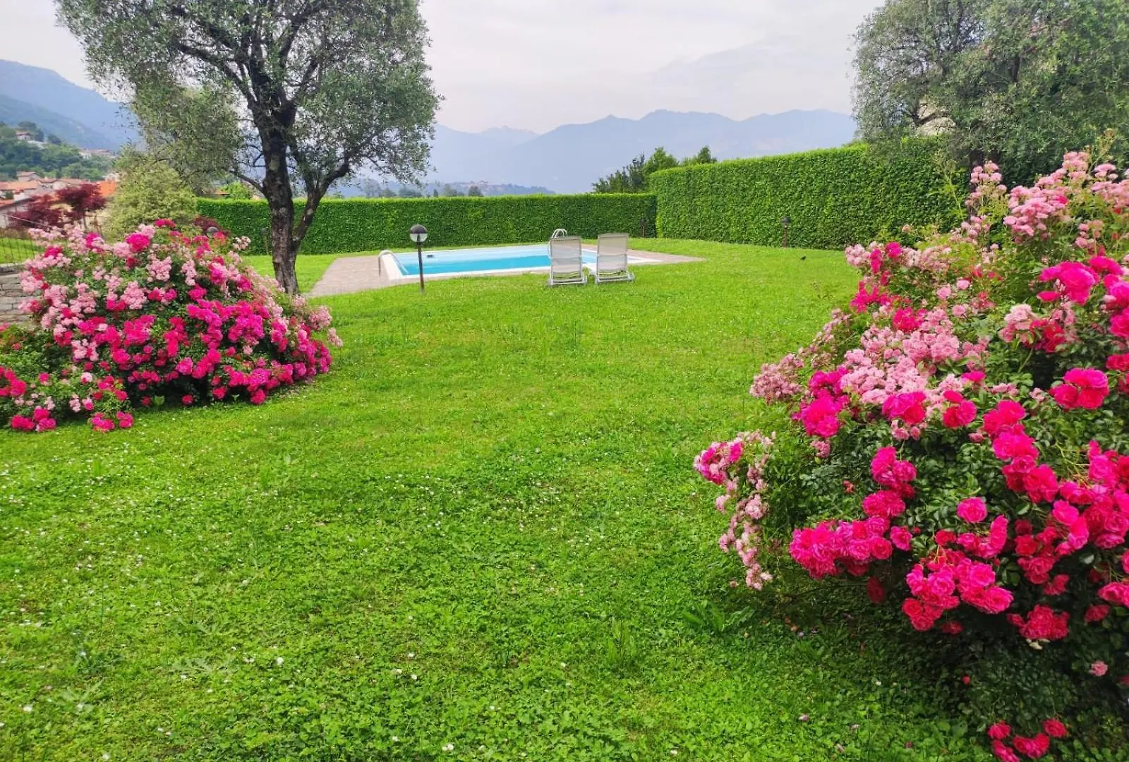 La Rosa Del Lago Lenno Apartamento