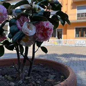 Ca Del Fili Lenno